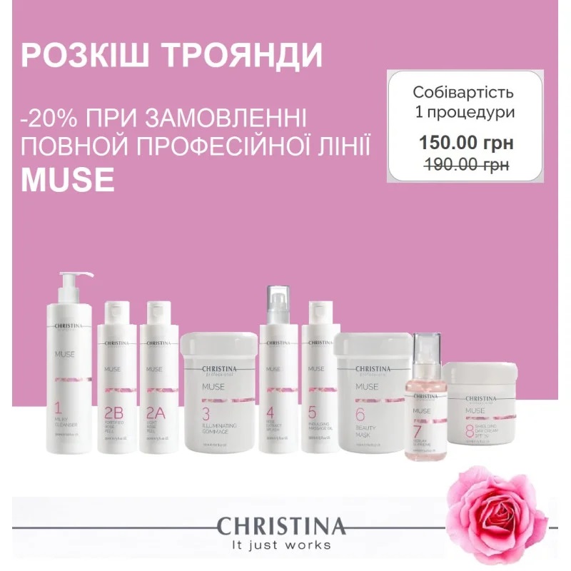 MUSE PROF SET  Профессиональный набор